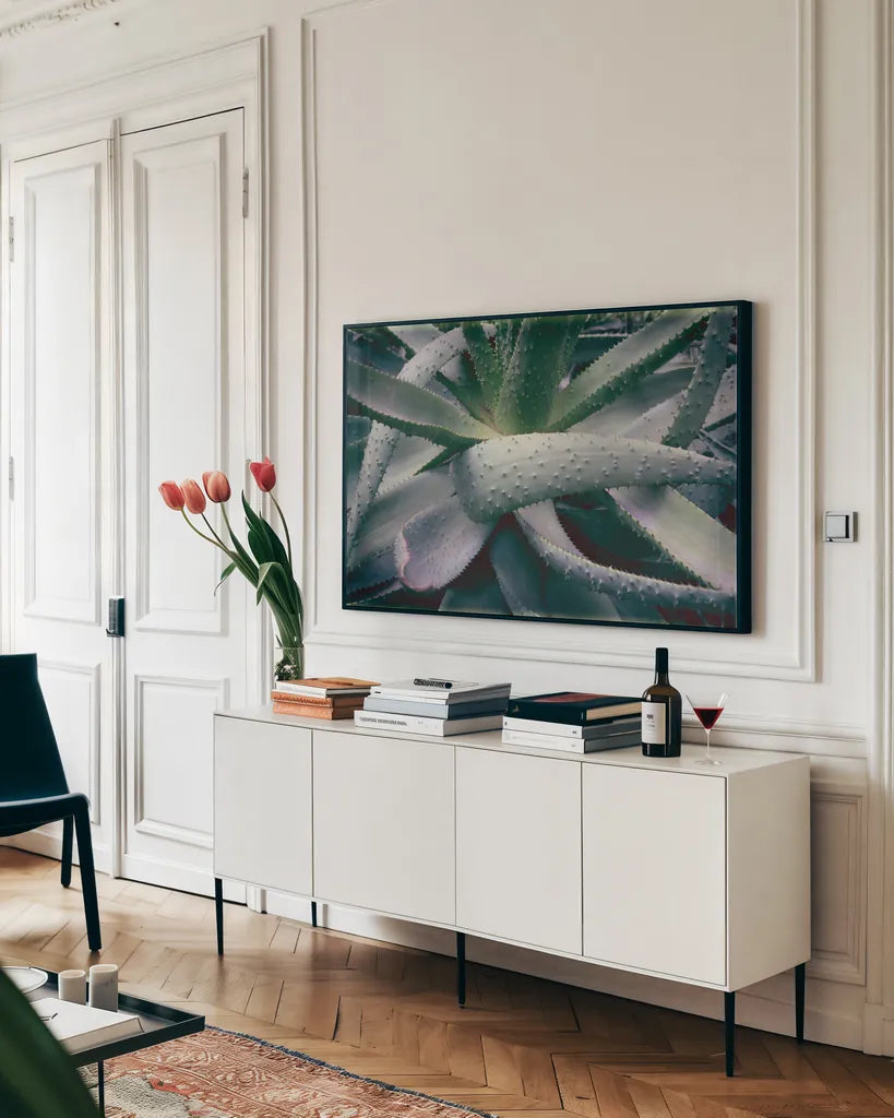 Succulent I by Deborah Revell. shown as a framed stretched canvas in a living room above a console. Available as a archival giclee rolled canvas, fine art paper, or poster print. SKU 94379i.