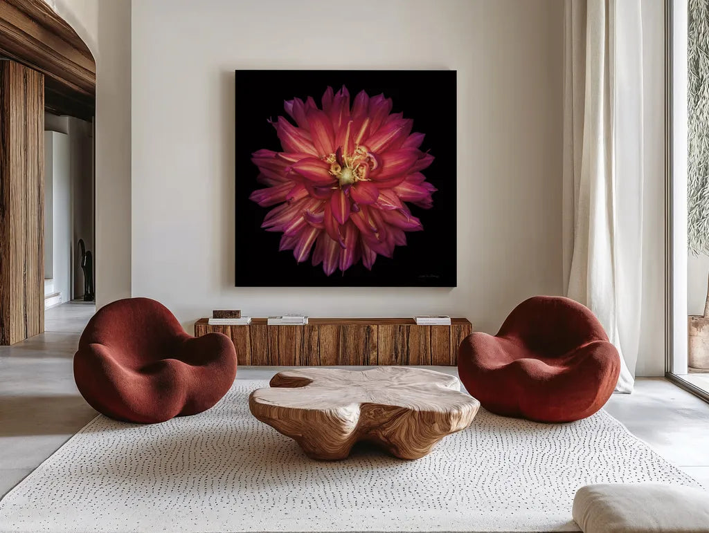 Dahlia III by Debra Van Swearingen. Shown as extra-large giant wall art in a modern living room. Available as an archival giclee rolled canvas, fine art paper, or poster print. SKU 89718a.
