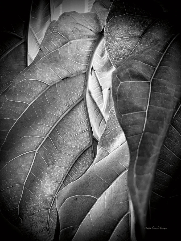Sunlit Leaf I by Debra Van Swearingen