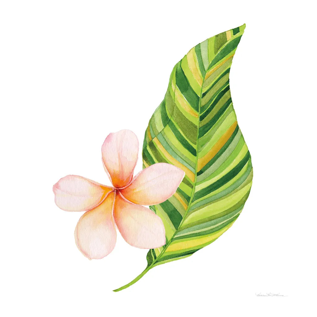 Treasures of the Tropics X by Kathleen Parr McKenna | Decorus Art