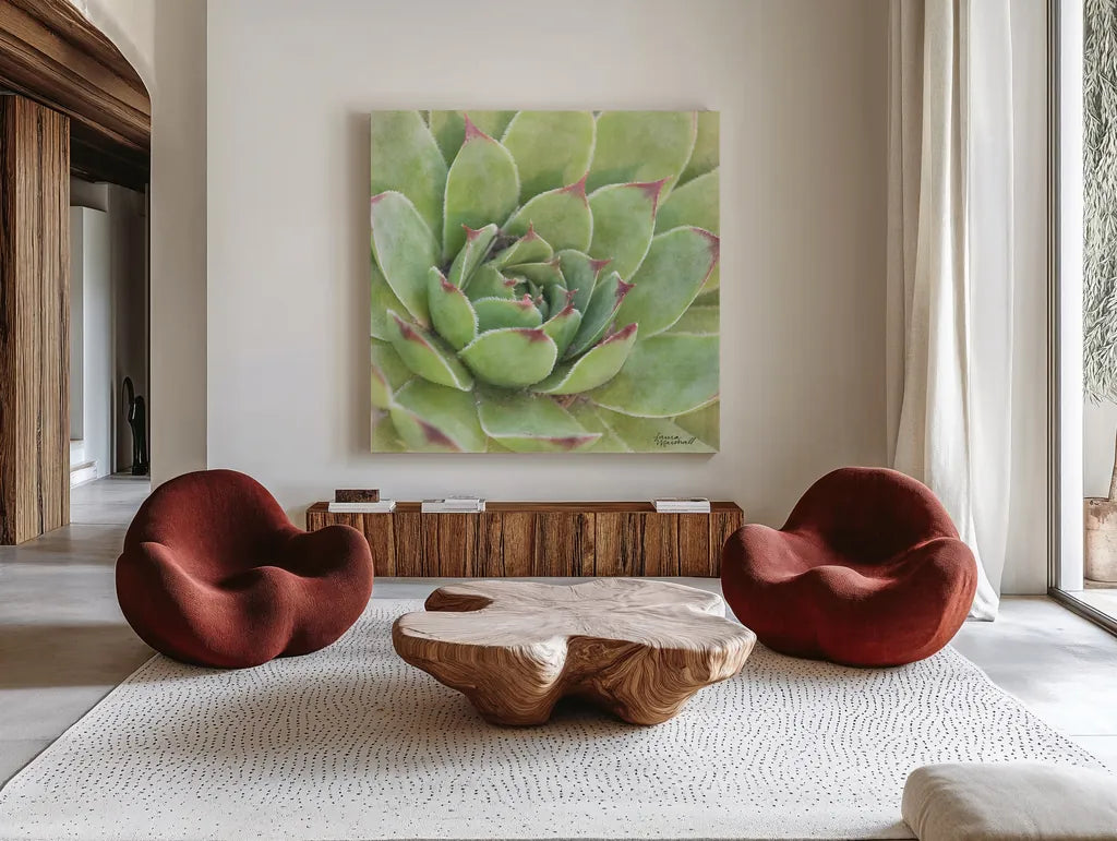 Garden Succulents IV Color by Laura Marshall. Shown as extra-large giant wall art in a modern living room. Available as an archival giclee rolled canvas, fine art paper, or poster print. SKU 33280a.
