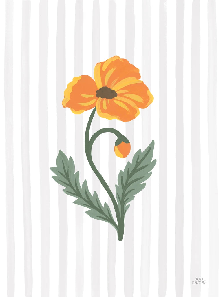 Wild Meadow Poppy by Laura Marshall