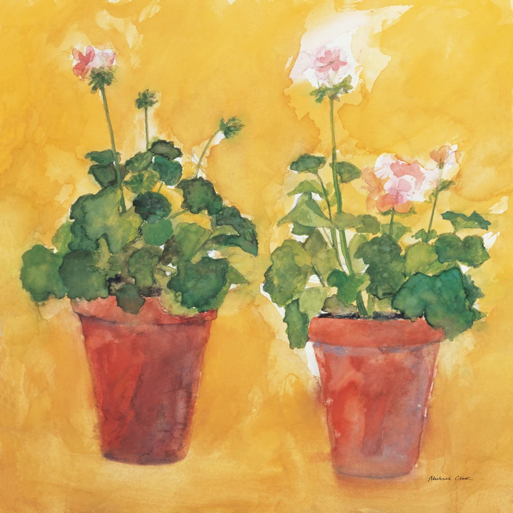 Pelargoniums by Michael Clark