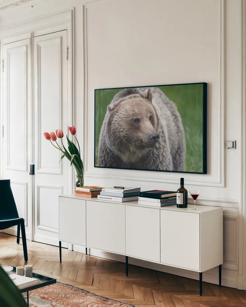 British Columbia Grizzly by Nathan Larson. shown as a framed stretched canvas in a living room above a console. Available as a archival giclee rolled canvas, fine art paper, or poster print. SKU 92564i.