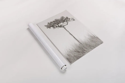 Secluded I by Nathan Larson. shown as a rolled paper print. Available as archival giclee rolled canvas, fine art paper, or poster print. SKU 101663h.