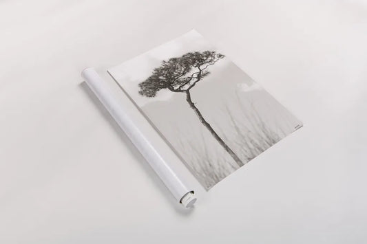 Secluded II by Nathan Larson. shown as a rolled paper print. Available as archival giclee rolled canvas, fine art paper, or poster print. SKU 101664h.