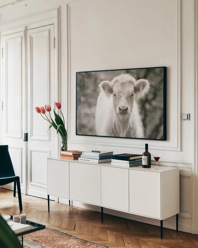 White Calf by Nathan Larson. shown as a framed stretched canvas in a living room above a console. Available as a archival giclee rolled canvas, fine art paper, or poster print. SKU 82816i.