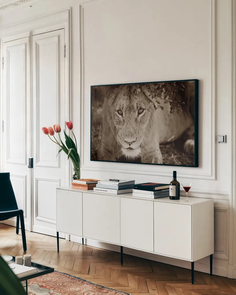 Lion Stare by Sharon Vardy. shown as a framed stretched canvas in a living room above a console. Available as a archival giclee rolled canvas, fine art paper, or poster print. SKU 92665i.