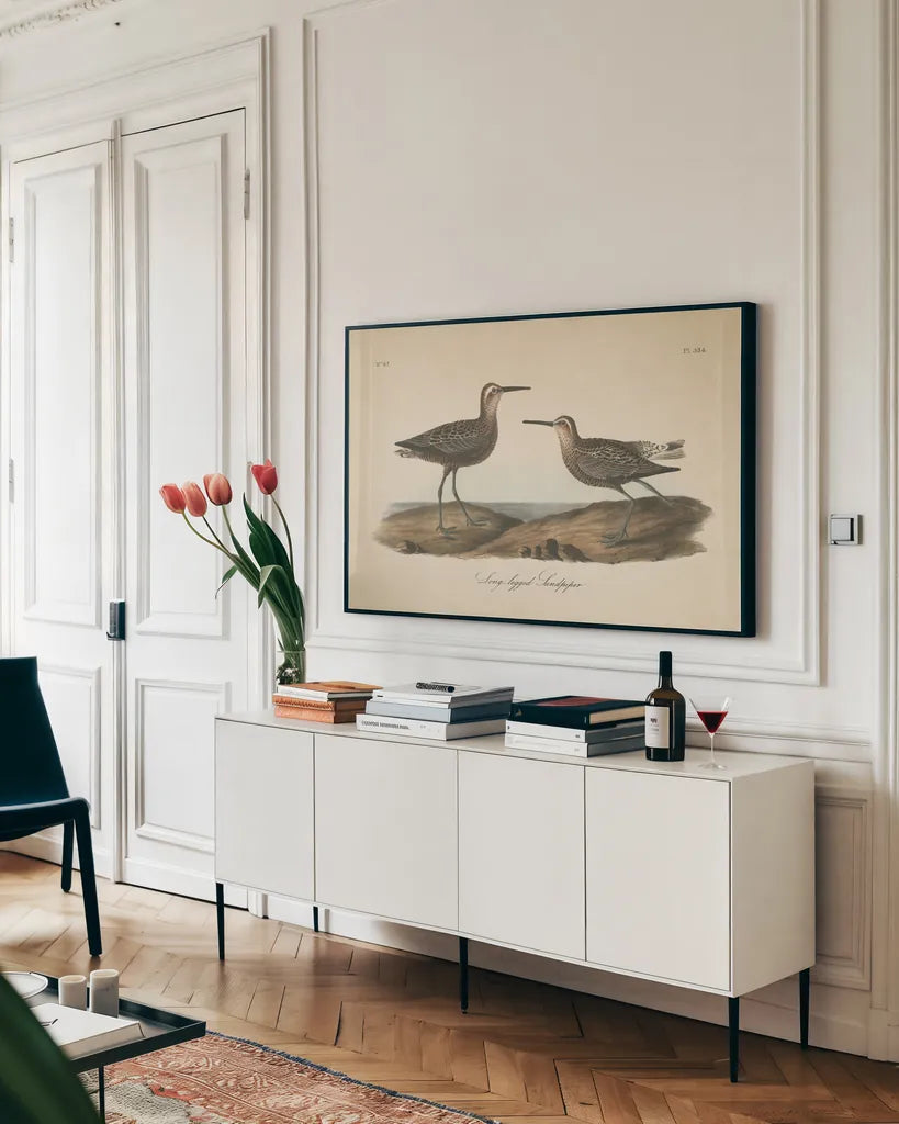 Long Legged Sandpiper by Wild Apple Portfolio. shown as a framed stretched canvas in a living room above a console. Available as a archival giclee rolled canvas, fine art paper, or poster print. SKU 89856i.