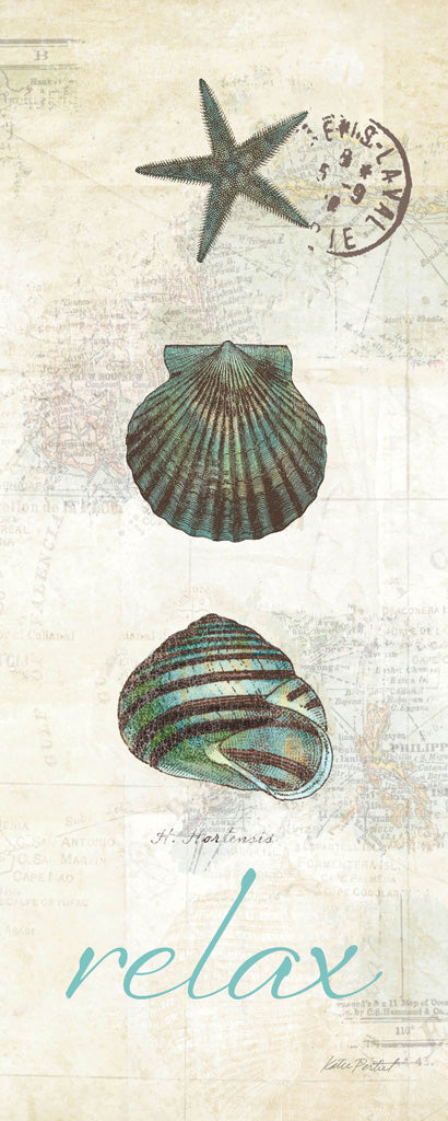 Reproduction of Touch of Blue Shells I by Katie Pertiet - Wall Decor Art