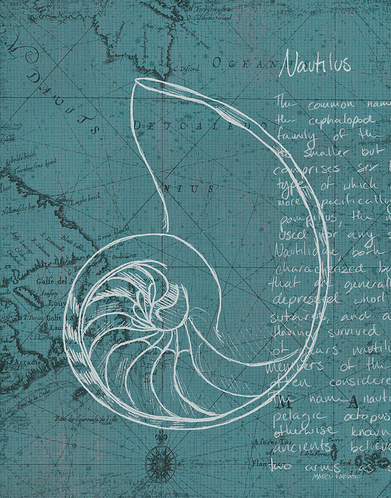 Reproduction of Coastal Blueprint V by Marco Fabiano - Wall Decor Art