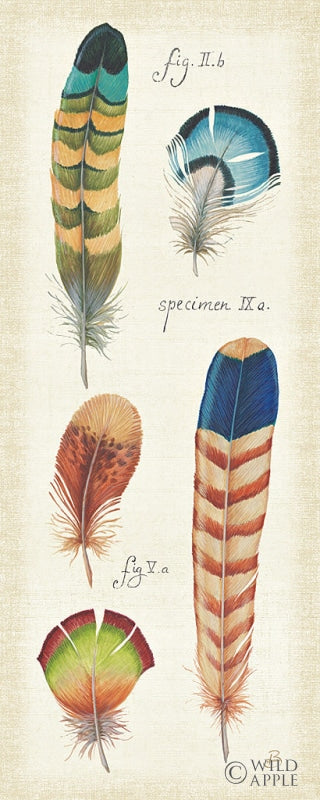 Reproduction of Orinthology Panel IV by Daphne Brissonnet - Wall Decor Art