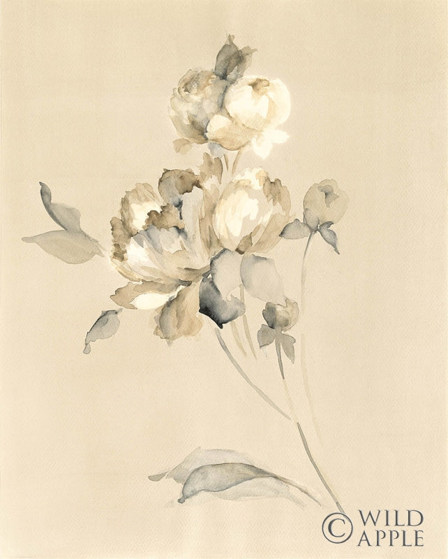 Reproduction of Peony Blossoms by Wild Apple Portfolio - Wall Decor Art