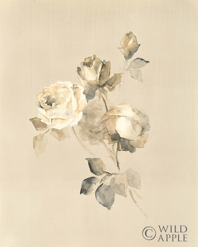 Reproduction of Rose Blossoms by Wild Apple Portfolio - Wall Decor Art