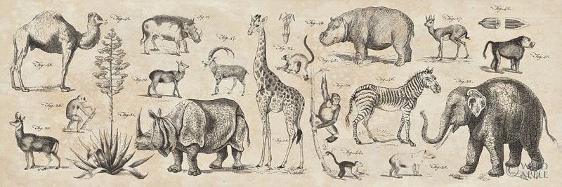 Reproduction of Wild Africa by Wild Apple Portfolio - Wall Decor Art