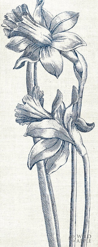 Reproduction of Eden II Indigo and White by Wild Apple Portfolio - Wall Decor Art