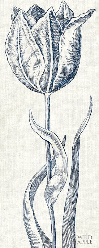 Reproduction of Eden IV Indigo and White by Wild Apple Portfolio - Wall Decor Art