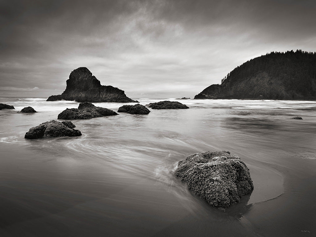 Reproduction of Indian Beach II by Alan Majchrowicz - Wall Decor Art