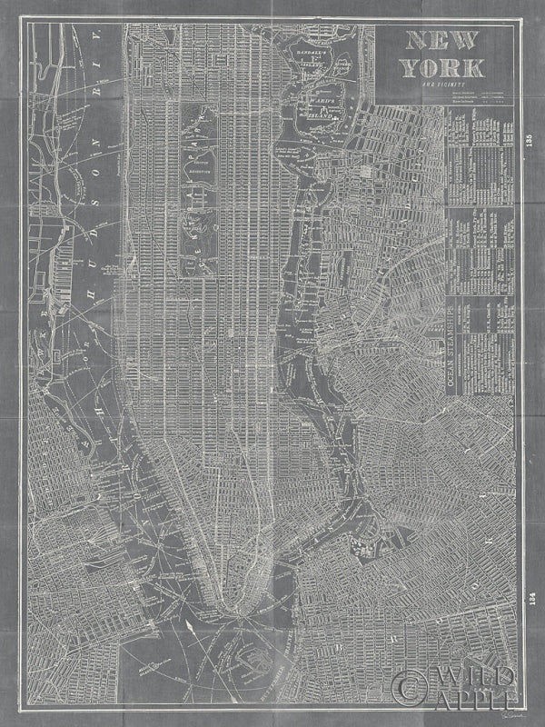 Reproduction of Blueprint Map New York Grey by Sue Schlabach - Wall Decor Art