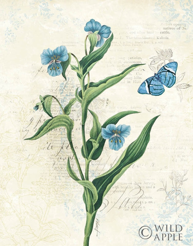 Reproduction of Booked Blue I Crop by Katie Pertiet - Wall Decor Art