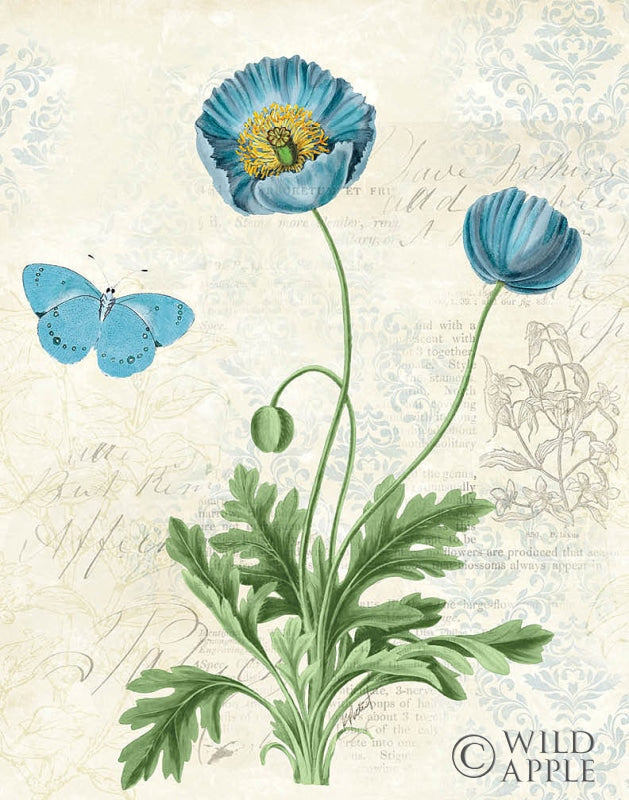 Reproduction of Booked Blue IV Crop by Katie Pertiet - Wall Decor Art