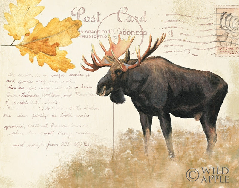 Reproduction of Northern Wild III by James Wiens - Wall Decor Art