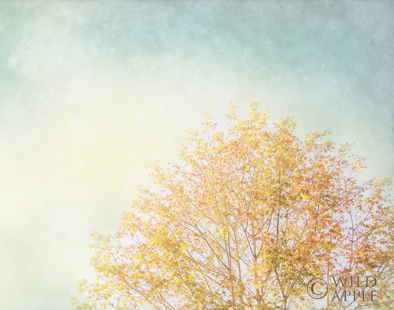 Reproduction of Looking Up Crop by Elizabeth Urquhart - Wall Decor Art