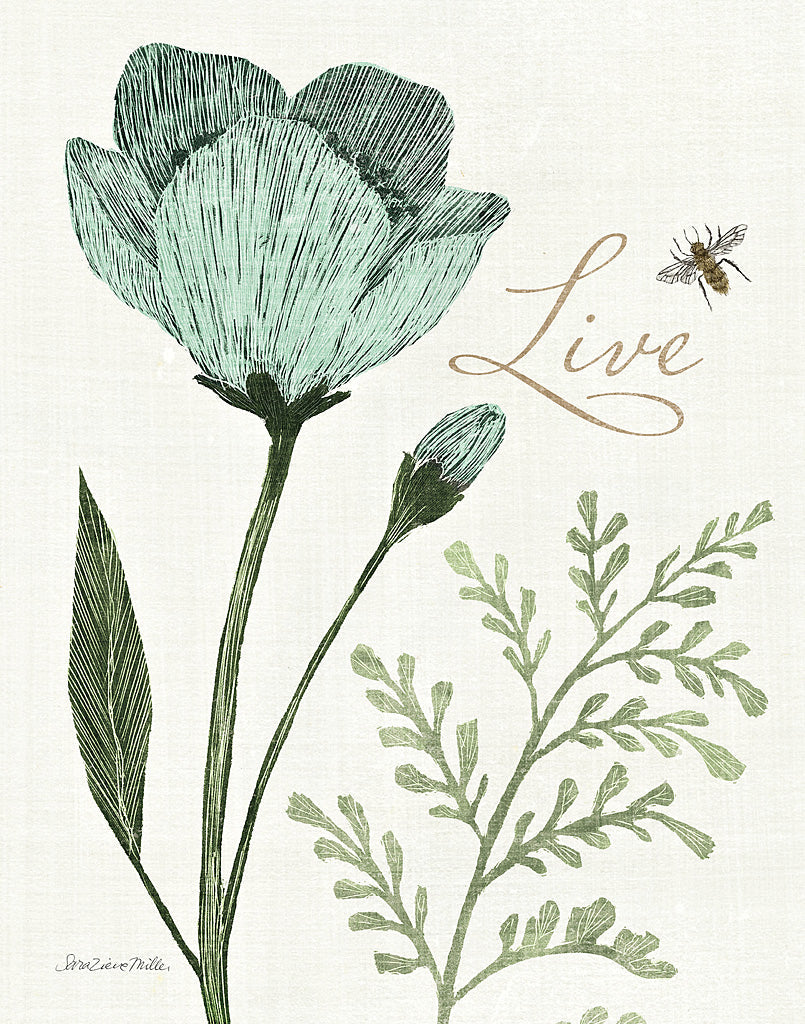 Reproduction of Springtime I by Sara Zieve Miller - Wall Decor Art