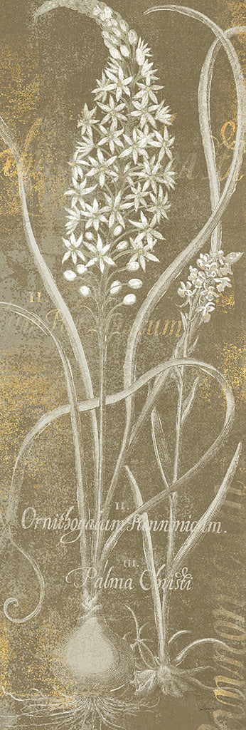 Reproduction of Flower Lines III by Sue Schlabach - Wall Decor Art