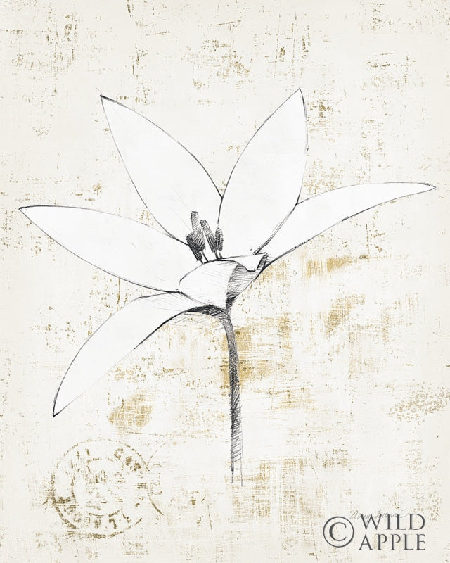 Reproduction of Pencil Floral XII Gold by Avery Tillmon - Wall Decor Art