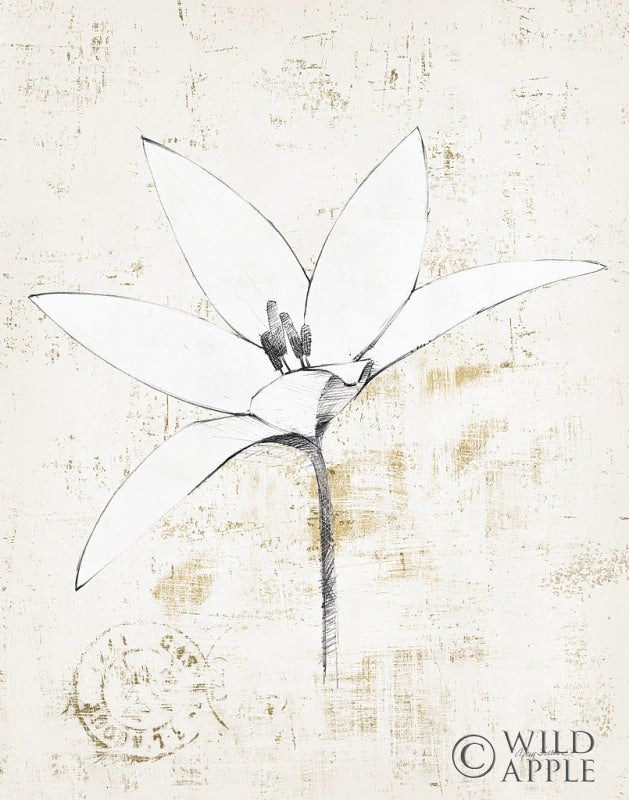 Reproduction of Pencil Floral XII Gold by Avery Tillmon - Wall Decor Art