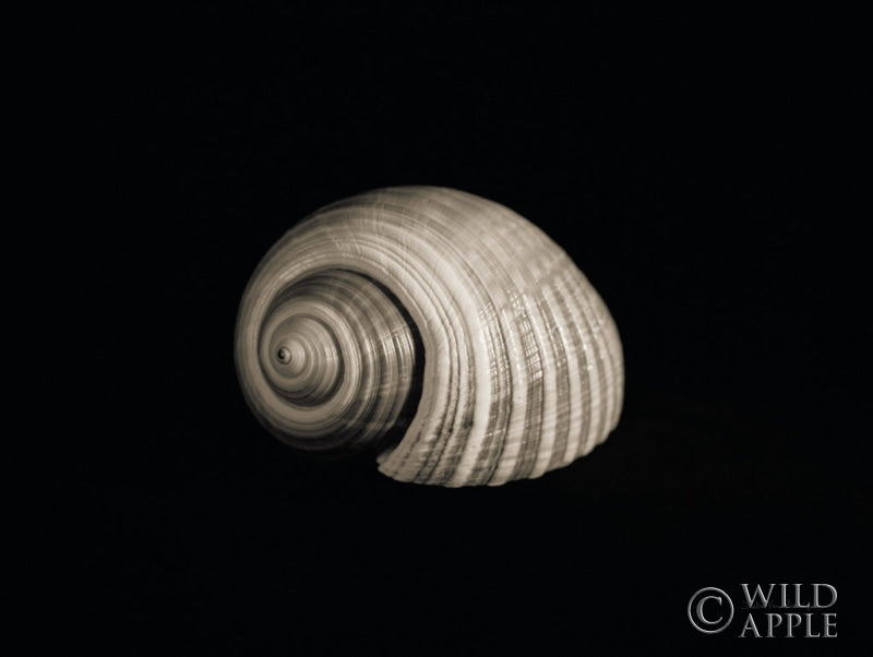 Reproduction of Tonna by Debra Van Swearingen - Wall Decor Art