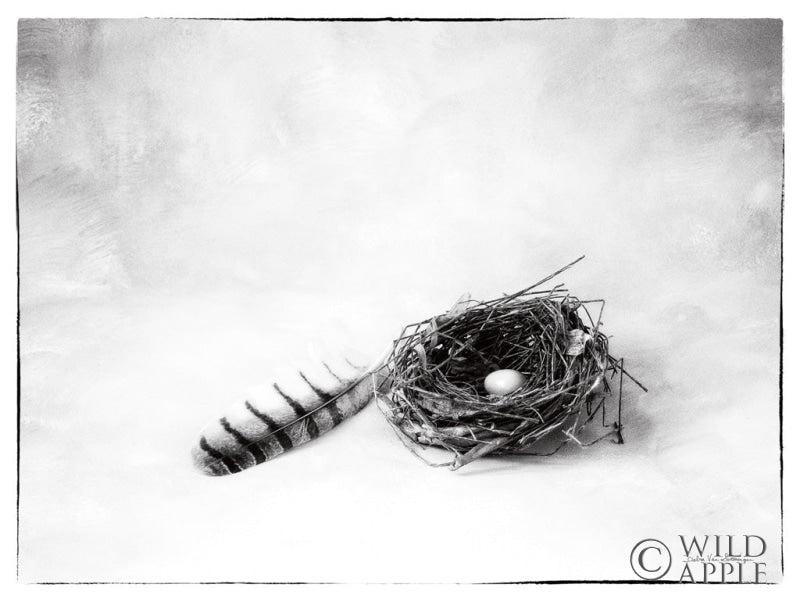 Reproduction of Nestled IV by Debra Van Swearingen - Wall Decor Art