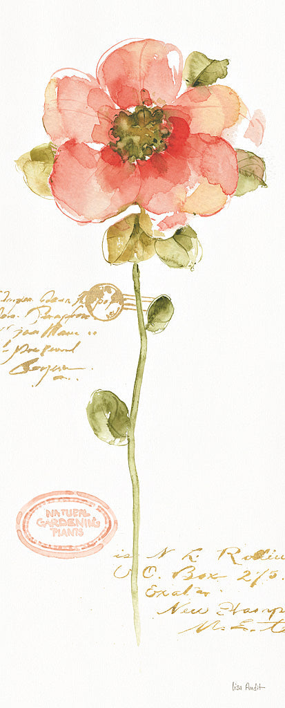 Reproduction of Rainbow Seeds Loose Floral IV by Lisa Audit - Wall Decor Art