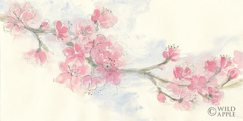 Reproduction of Cherry Blossom II by Chris Paschke - Wall Decor Art