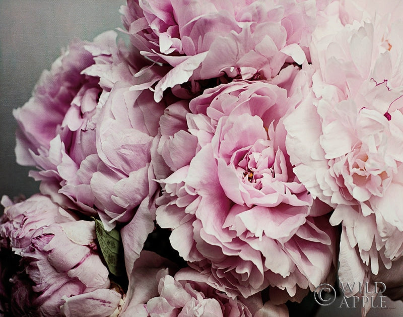 Reproduction of Peonies Galore II by Elizabeth Urquhart - Wall Decor Art