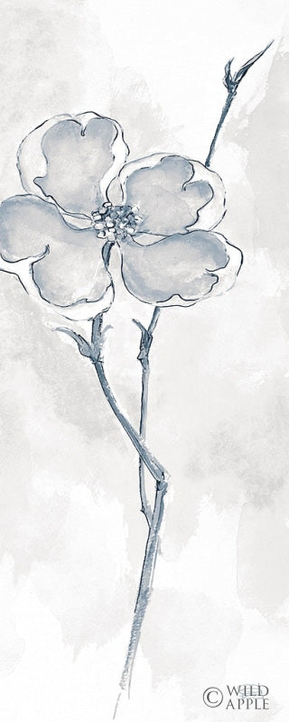 Reproduction of Solitary Dogwood II Gray by Chris Paschke - Wall Decor Art