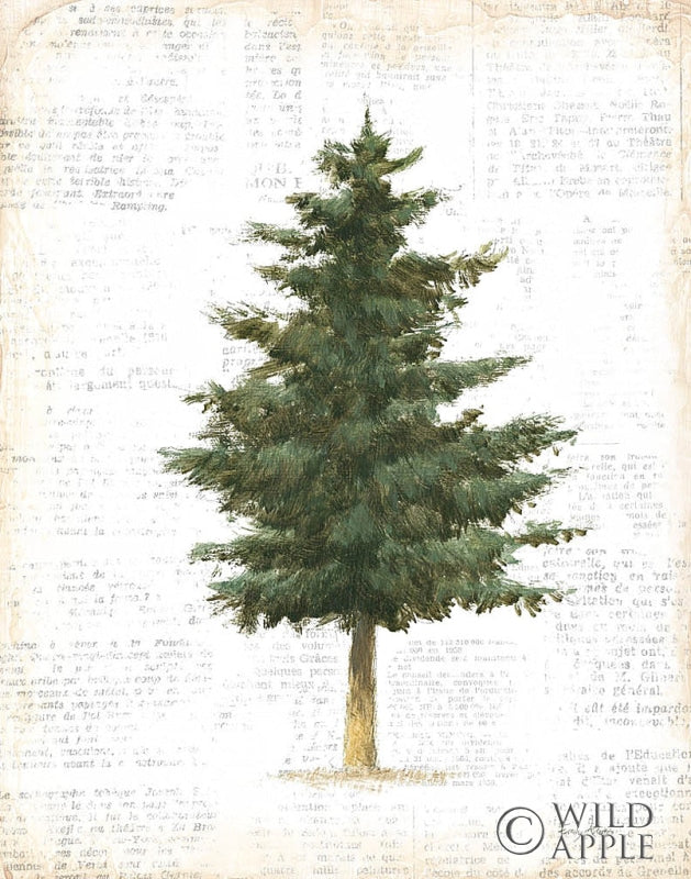 Reproduction of Into the Woods Trees II by Emily Adams - Wall Decor Art