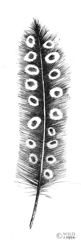 Reproduction of Spirit Feather VIIIa by Avery Tillmon - Wall Decor Art