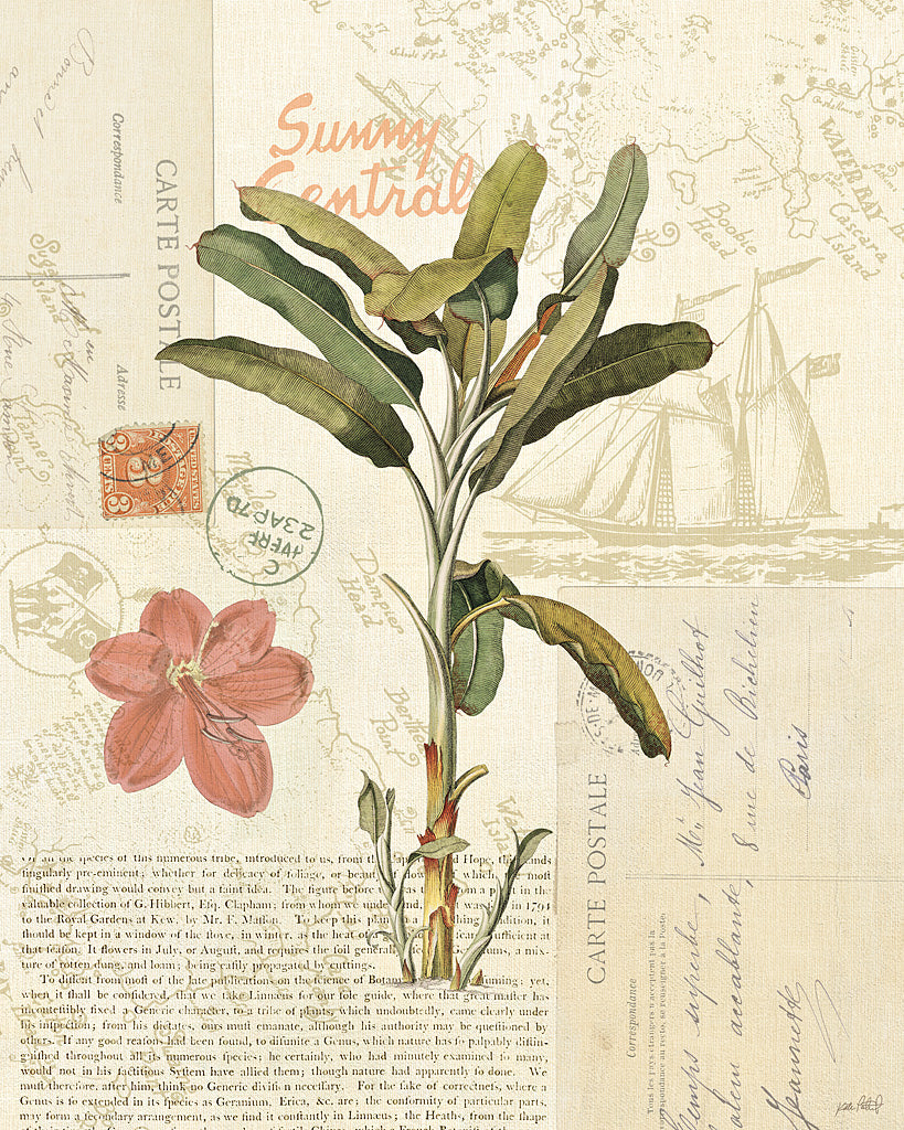 Reproduction of Floridian III by Katie Pertiet - Wall Decor Art