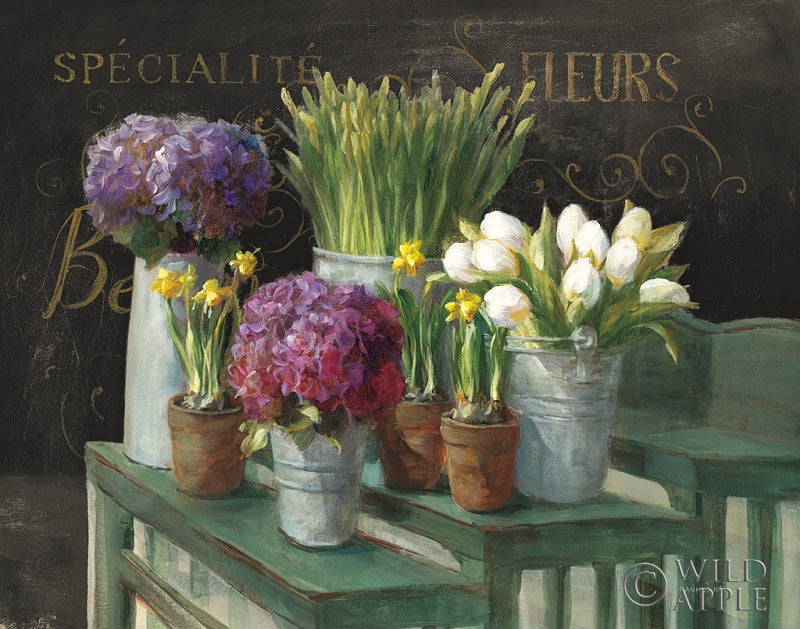 Reproduction of Les Fleurs Printemps on Black by Danhui Nai - Wall Decor Art