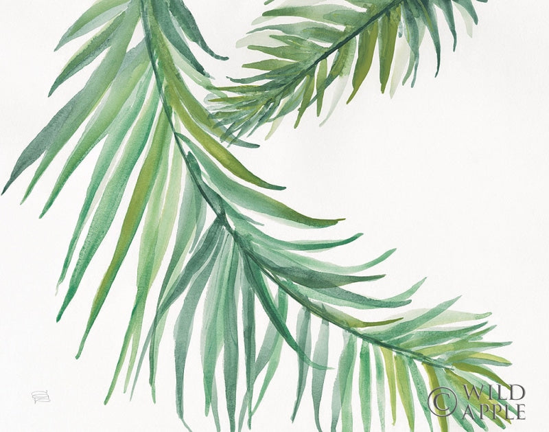 Reproduction of Ferns IV by Chris Paschke - Wall Decor Art