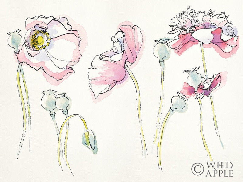 Reproduction of Pink Somniferums by Shirley Novak - Wall Decor Art