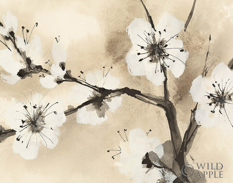 Reproduction of Spring Blossoms I Crop by Chris Paschke - Wall Decor Art