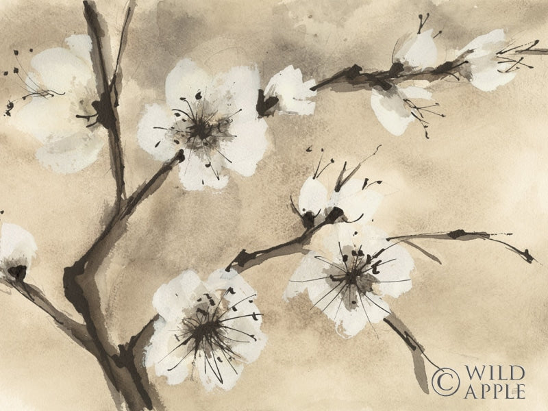 Reproduction of Spring Blossoms IV Crop by Chris Paschke - Wall Decor Art