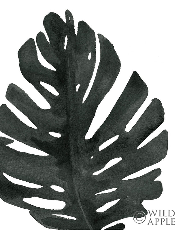 Reproduction of Tropical Palm I BW by Wild Apple Portfolio - Wall Decor Art