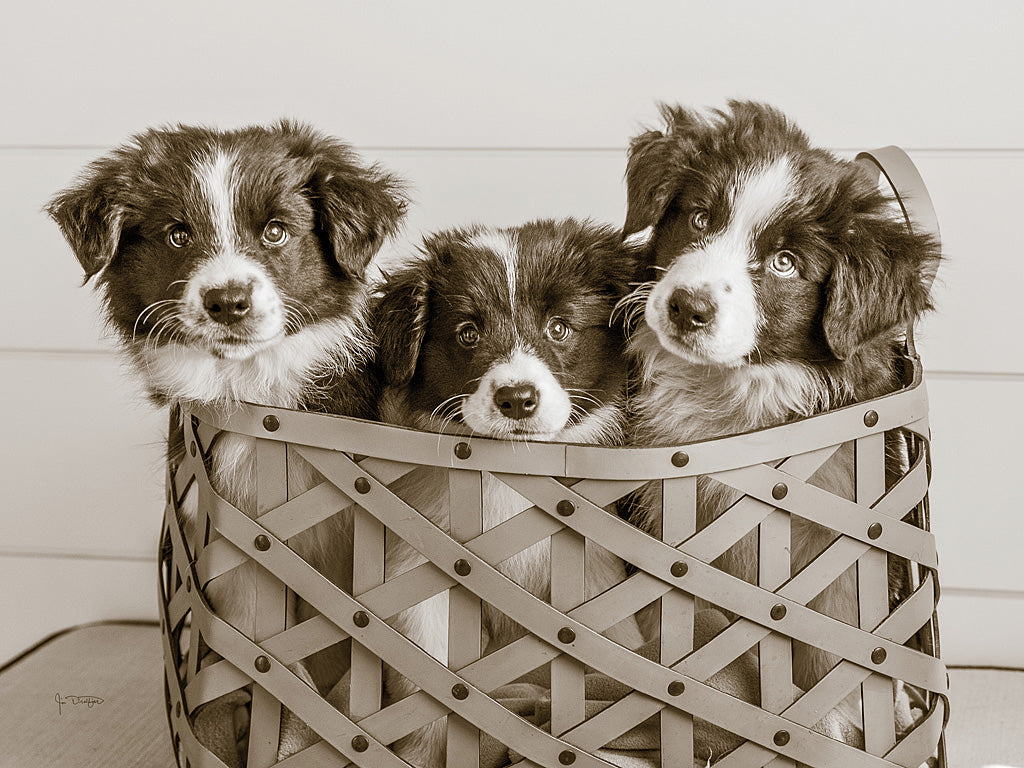 Reproduction of What a Cute Bundle by Jim Dratfield - Wall Decor Art