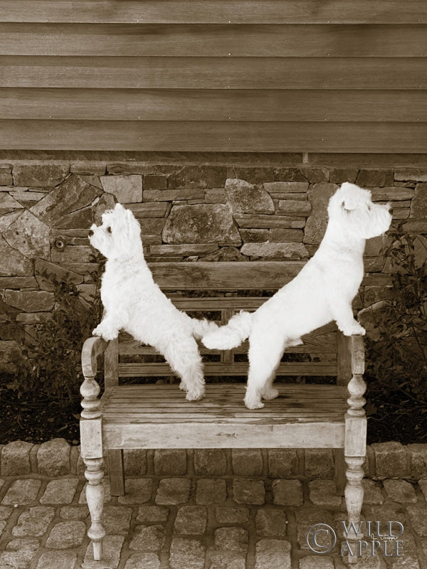 Reproduction of We are Ready by Jim Dratfield - Wall Decor Art