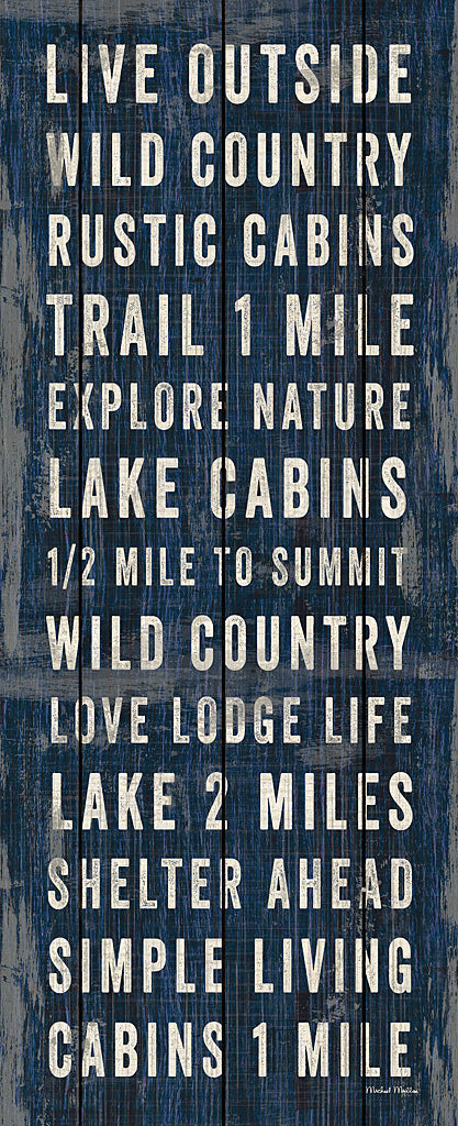 Reproduction of Simple Living Blue Panel I by Michael Mullan - Wall Decor Art