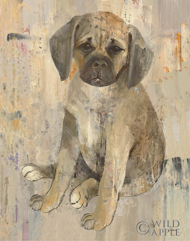 Reproduction of Paco v2 by Albena Hristova - Wall Decor Art